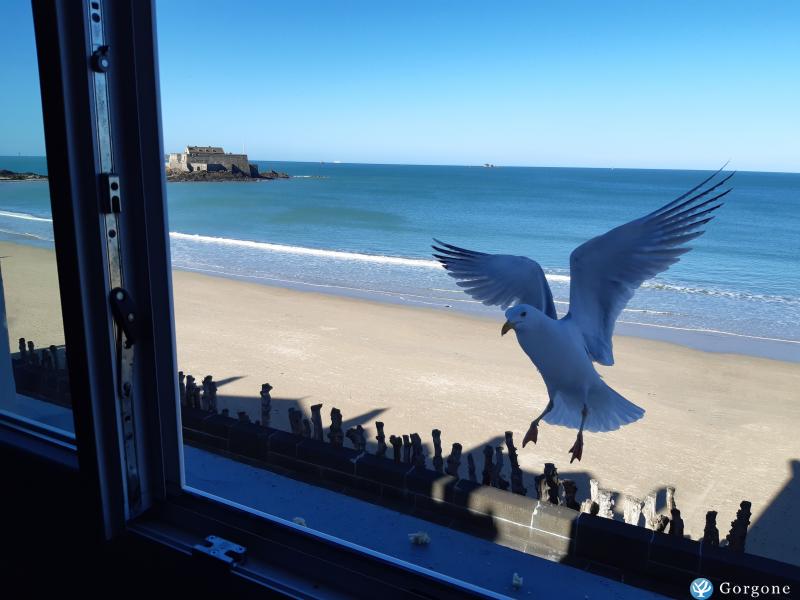 Photo n°1 de :SAINT-MALO ap T2 VUE/MER 